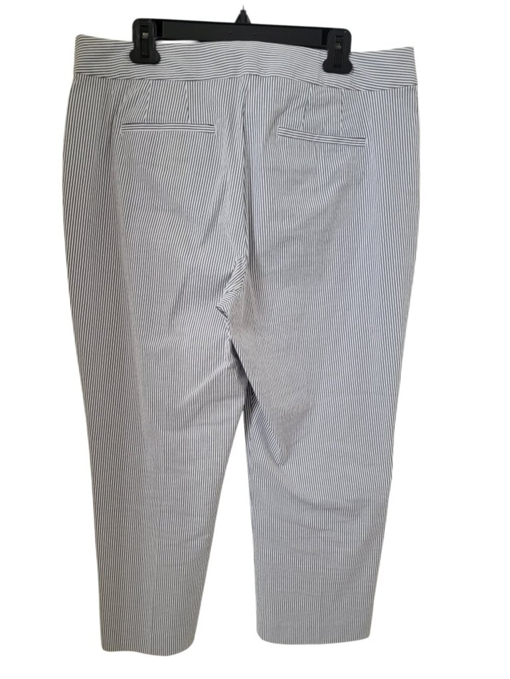 Ann Taylor Size 14 Blue & White Striped Seersucker Pants, Like New Condition - Picture 3 of 13